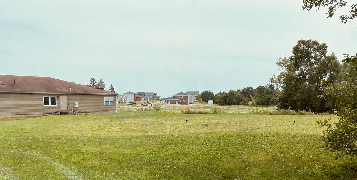 paul maccormack tweet media