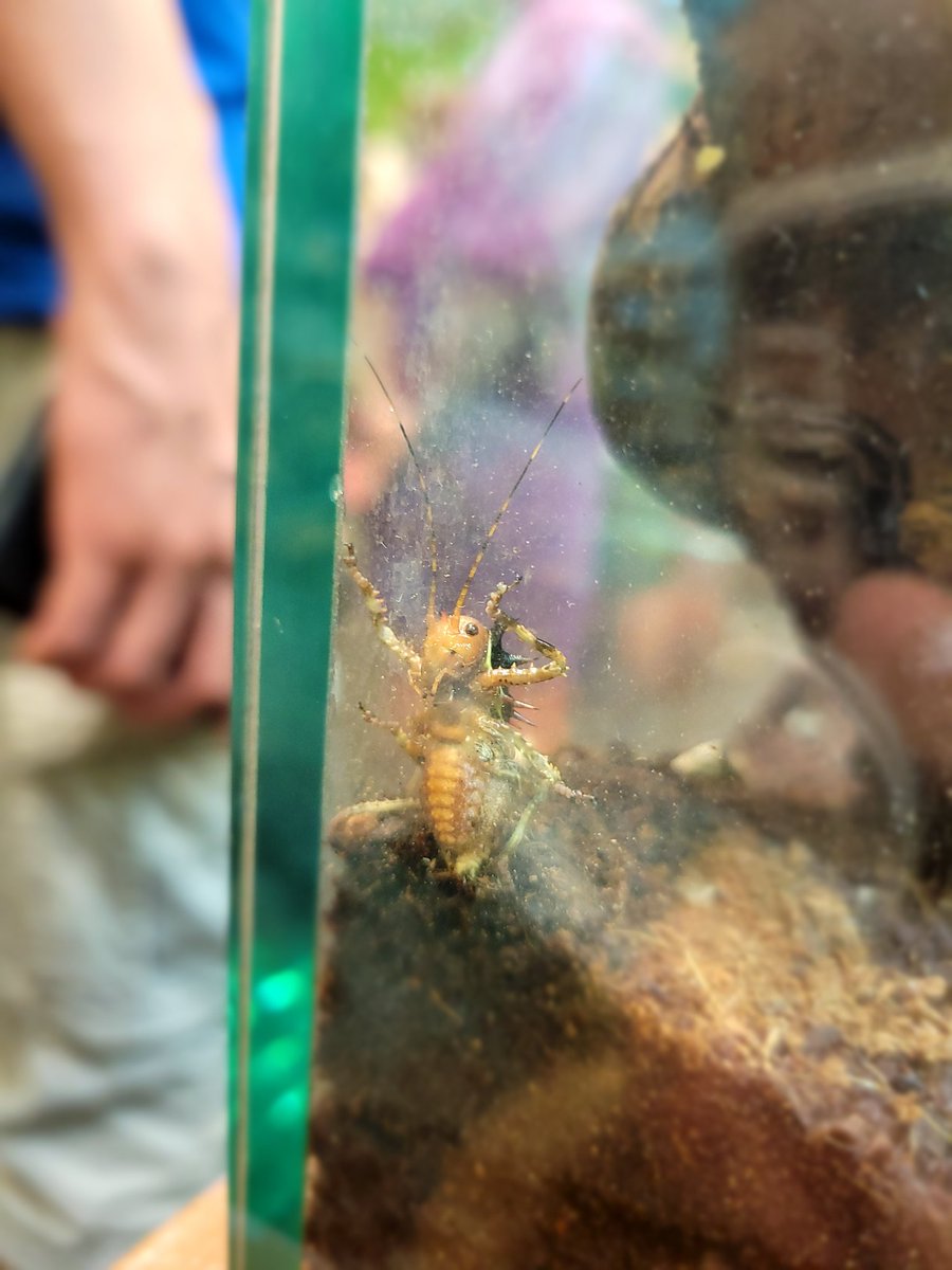 Ashleigh Travers (she/they) tweet media