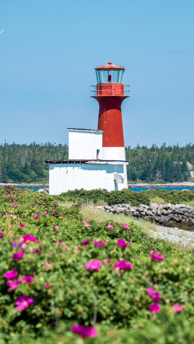 JustinLaurenXO's tweet photo. It's the ultimate Nova Scotia road trip itinerary! 

Nova Scotia is an amazing road trip destination. From the city of Halifax to Peggy's Cove, and colourful villages to beautiful lighthouses, you need to experience Nova Scotia ASAP! 

Read more: https://t.co/BnHYVSz6Mz

#TMACYAS https://t.co/IH1HEEUTJw