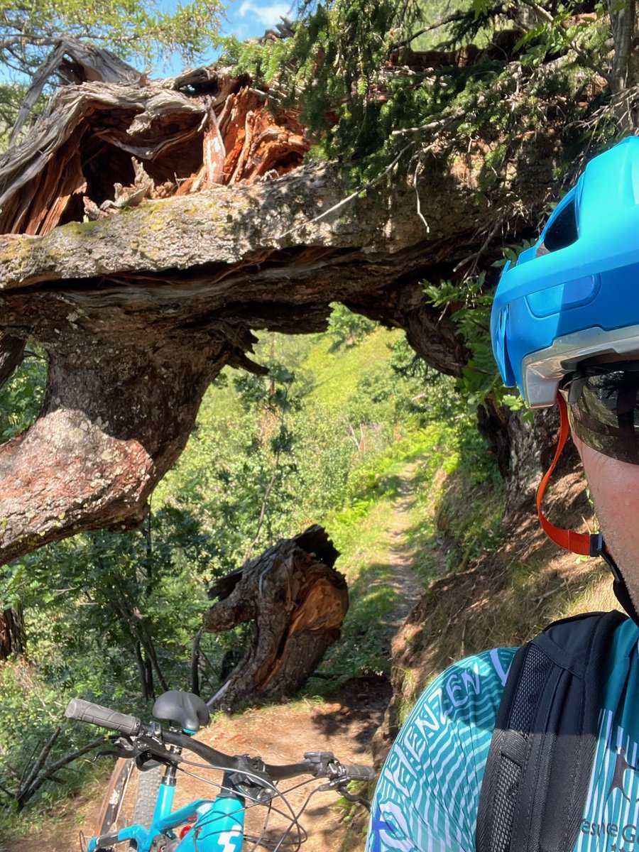 wendelinzuber's tweet photo. Biketourenwoche ab Münster Goms😀✌️🤙🙏
#Furkapass #bidmersee #hungerberg #MOVA #goms #münster #oberwald #ulrichen #bula22 #wallis https://t.co/JUbCceVjhZ