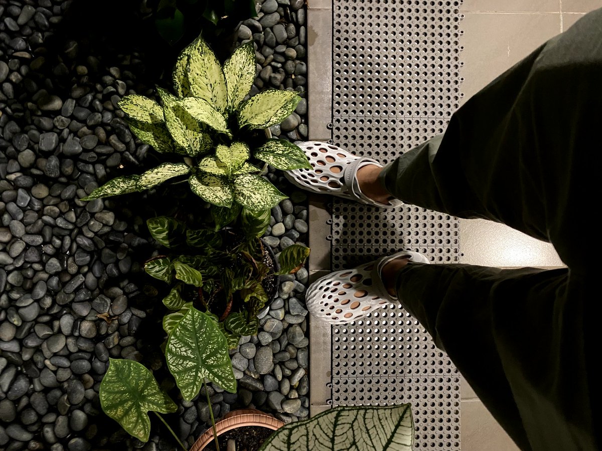 penasaran belangnya tutul2 kalo dipake siang2