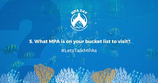 What MPA is on your bucket list to visit?
 #MPADay 
#LetsTalkMPAs