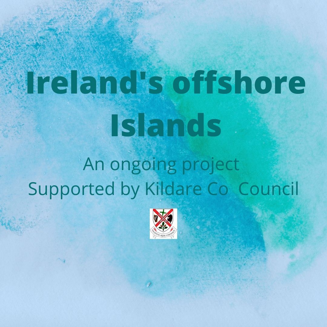 Pamela de Brí (@pameladebri) on Twitter photo 