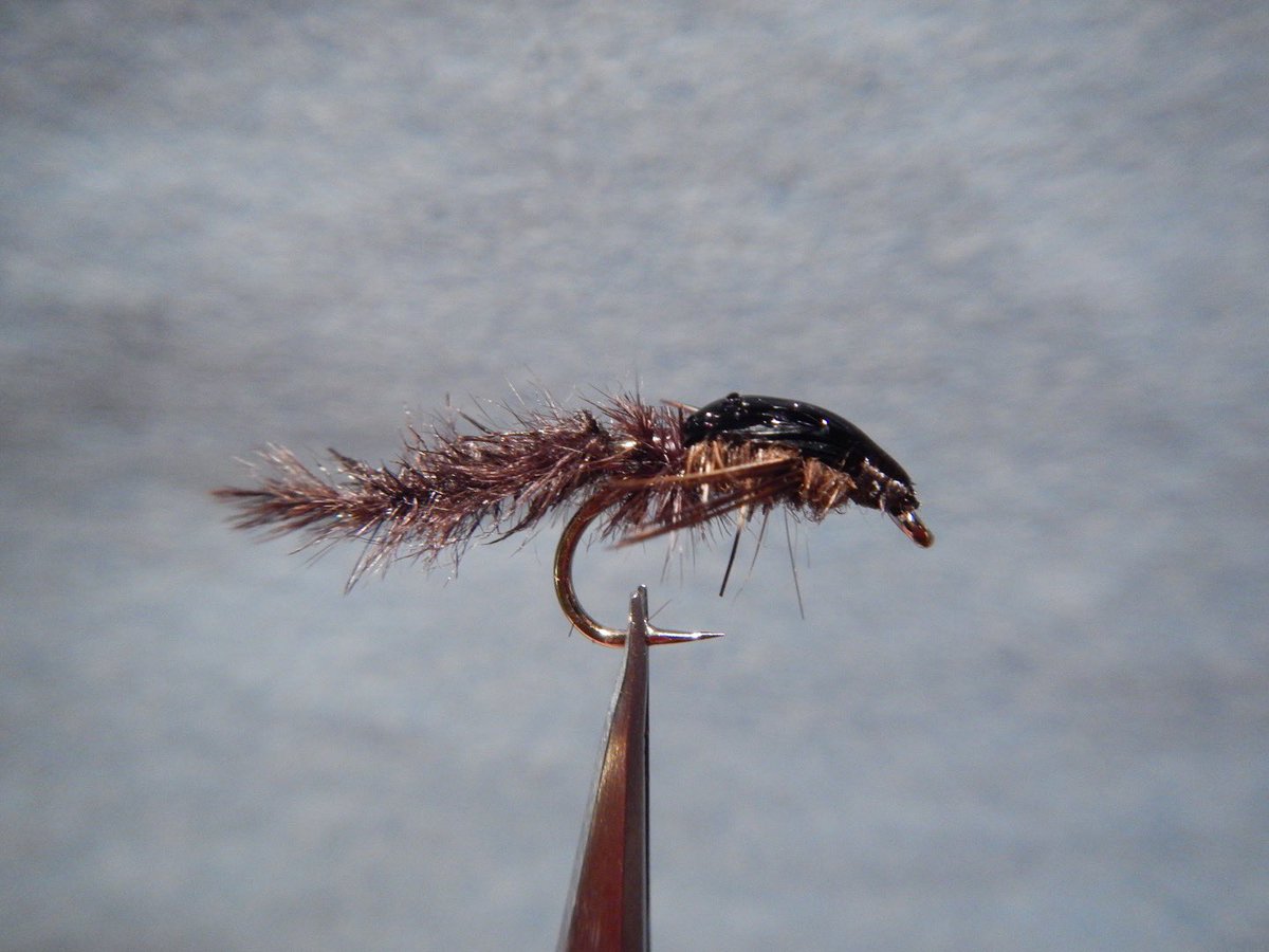 Fletchflies's tweet photo. One of my favorites. This one is basically a Pheasant Tail Nymph with an articulated tail. #flyfishing #flytying #troutbum #troutfood #troutfishing https://t.co/PscvASegWW