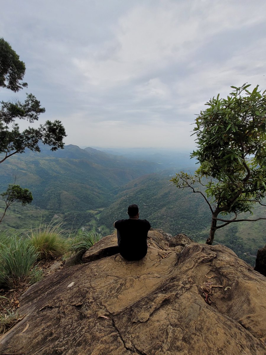 Lukman09441112's tweet image. #Ellarock