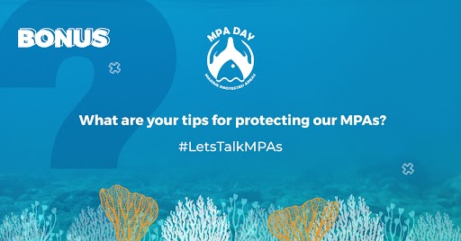 Bonus question. What are your tips for protecting our MPAs? #MPADay #LetsTalkMPAs