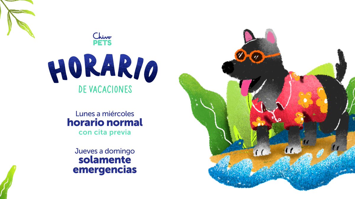 Chivo Pets tweet media
