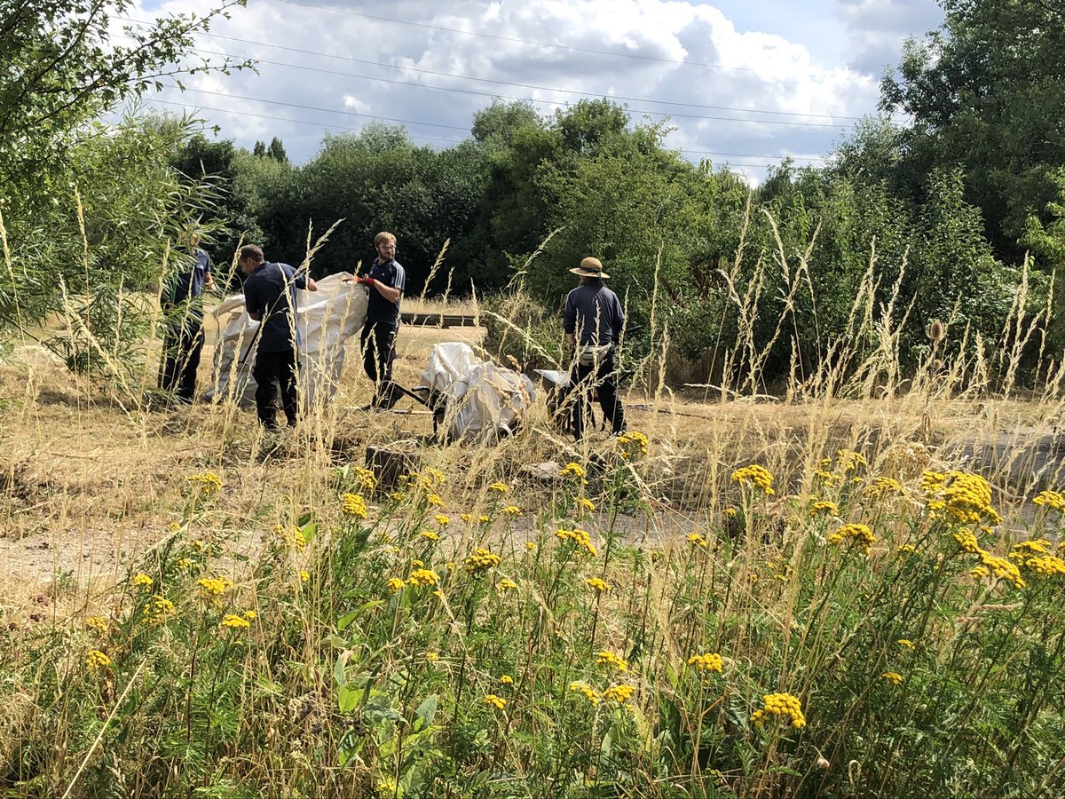 lhyde2017's tweet photo. #TeamTask on #WaterworksNR @LeeValleyPark cutting and clearing the grass in the wildlife garden-keeping some flowers that are still doing there part for the #insect ๐ฆ#Butterflies ๐ฆ https://t.co/M8AYsoSGaD