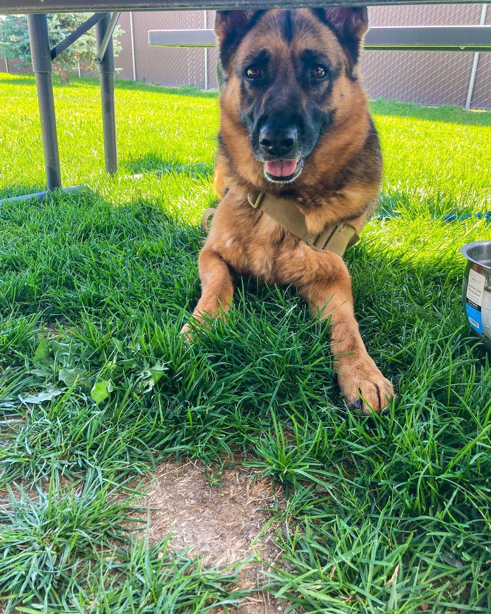 Camille Herron 🦸‍♀️ tweet media