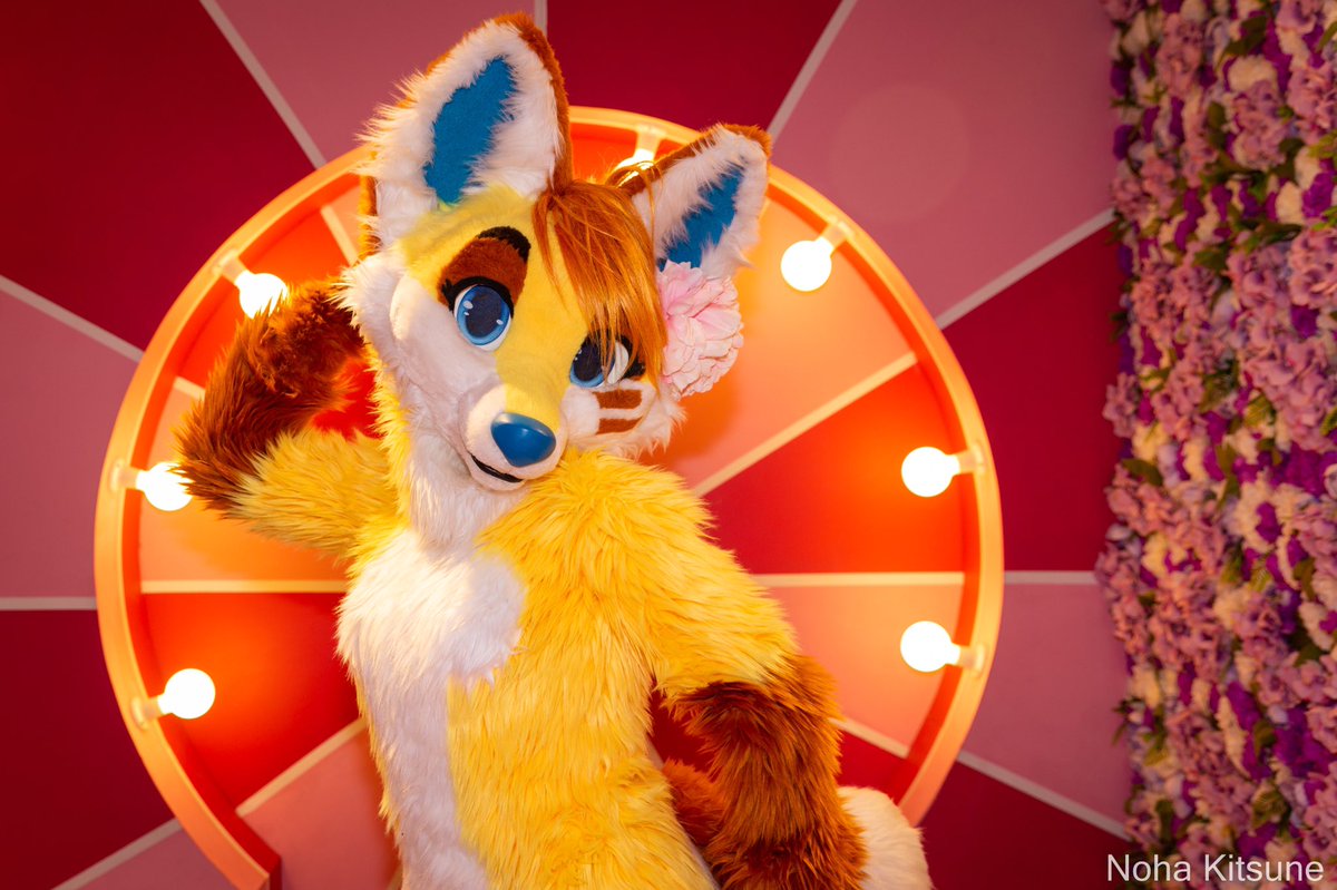 Feeling fabulous 💫 

📸 <a href="/Noha_Kitsune/">Noha Kitsune (LF PhotoFox)</a>