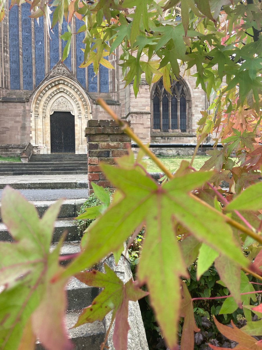 CommunityWorcs's tweet image. Can you help the Cathedral Eco Group and Worcestershire Wildlife Trust with a Wildlife survey on Friday 5 August 1.00 - 4.00 pm?  No experience needed.  Meet on College Green near the Guesten.  Email meryl.wilson@btinternet.com for more information.
#wildifesurvey