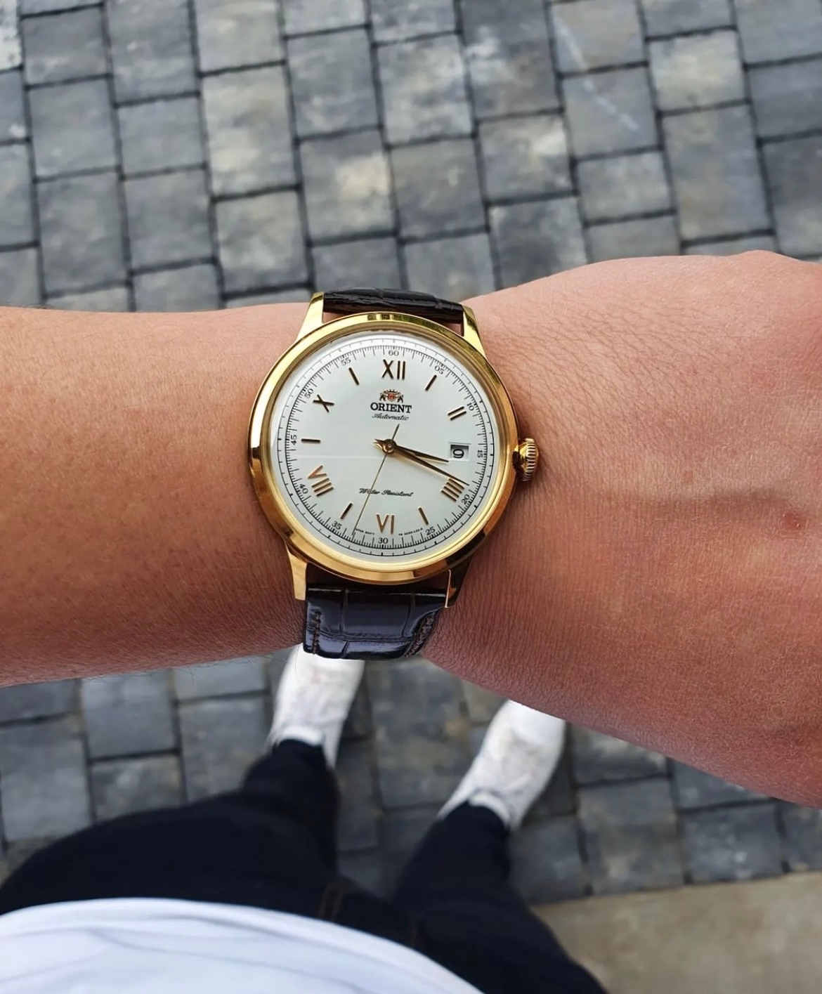 Orient bambino fac00007w0 deals