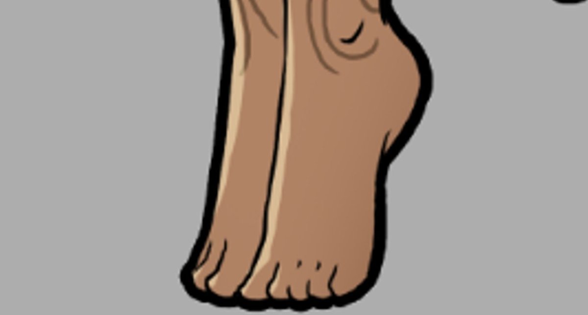 the first sneak peek at our game is...
🥁 drum roll 🥁
feet