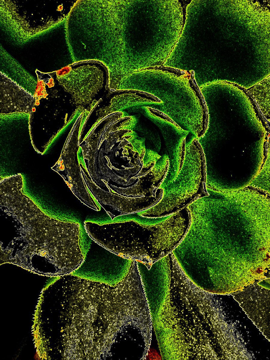 BearBullArt's tweet photo. The depth of #naturalgeometry highlighted by #contrast and #colors gives another level to what the naked eye canβt see.
That could be an awesome printed poster, if anyone interested.
#universeinside #naturalart #artisnature #geometry #energy #frequency #vibration https://t.co/VlEqQCYphu
