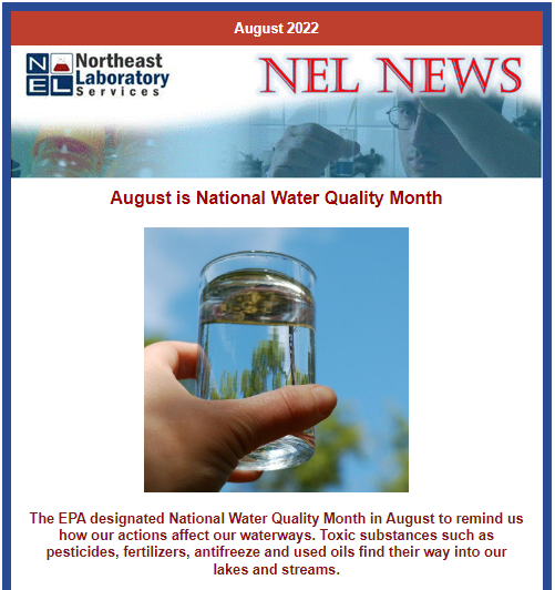 nelabservices's tweet photo. Check this out! NEL's August Newsletter.
Click here to view the full publication: https://t.co/b0veIGGY8J https://t.co/UsWNYBeCNH