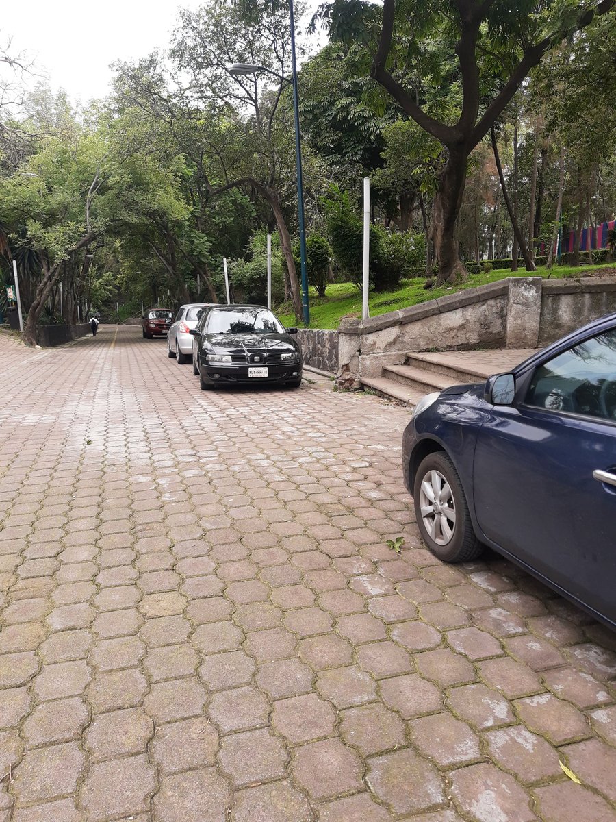 <a href="/GobCDMX/">Gobierno de la Ciudad de México</a> <a href="/uliseslabrador/">Ulises Labrador</a> <a href="/OVIALCDMX/">OVIAL_SSCCDMX</a> <a href="/BlindarMH/">Blindar MH</a> <a href="/mauriciotabe/">Mauricio Tabe Echartea</a> <a href="/oscarmunguiaf/">oscar munguia</a> <a href="/lapiz_toluca/">LAPIZ TOLUCA</a> <a href="/supercivicosmx/">Los Supercívicos</a> <a href="/JusticieraMh/">@justiciera MH</a> <a href="/andreslajous/">Andrés Lajous</a> <a href="/BicireporteraDF/">Bicireportera CDMX</a> <a href="/DrRolandoCortes/">Rolando Cortés</a> @AmericaConcejal @ConcejalHdz <a href="/ZumayaTorres/">Hugo Torres Zumaya</a> <a href="/DelatorMH/">Delator de #CorrupciónMH</a> <a href="/vigilando_mh/">Vigilando MH</a> <a href="/GomezZalce/">Marcela Gomez Zalce</a> <a href="/vromog/">Victor Romo</a> <a href="/rodrigosaval/">Rodrigo Saval</a>