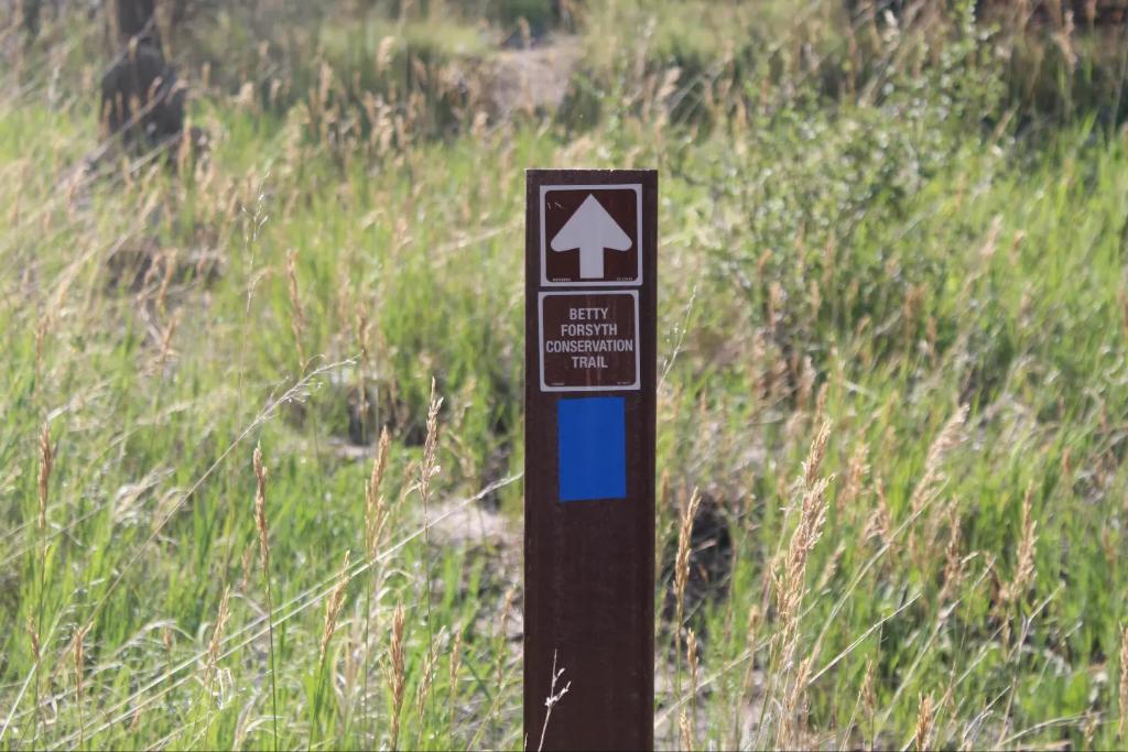 McNeilScoutRnch's tweet photo. Participants had a great time this summer hiking our nature trail. The Betty Forsyth Conservation Trail is a one mile loop through some of the rarely seen rugged parts of camp. Work has been done over the last year thanks to our Alumni Association to improve trail signage. https://t.co/UFvvJYD5bA