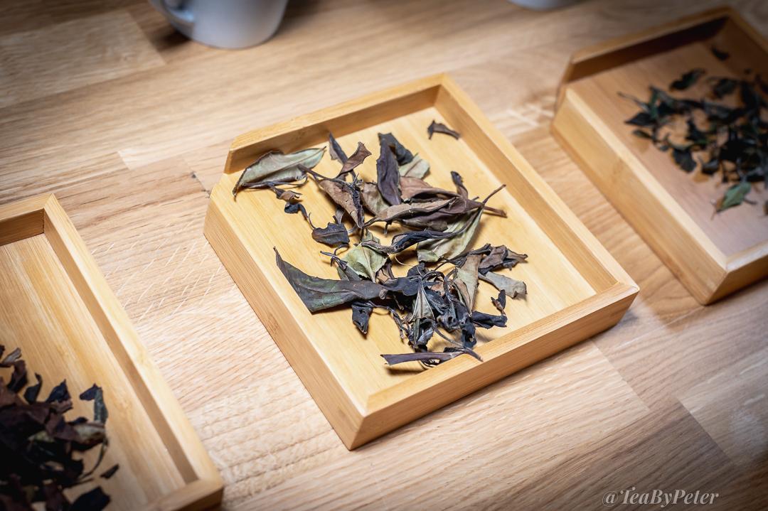 TeaByPeter's tweet photo. 🍵 Tasting of Georgian tea with Petr Sic, a Czech tea geek and tea maker, Prague #Oxalis #Sicaj, part 4️⃣.

#teatasting #petrsic #teaparty #teamaker #organictea #teagarden #teagourmet #teageek #georgiantea #europeantea #teatime  #teaculture #communitea #teaphotography #teabypeter https://t.co/kpLRsfEQxD