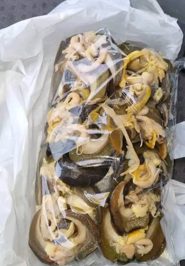 BasiruHaladu3's tweet image. 