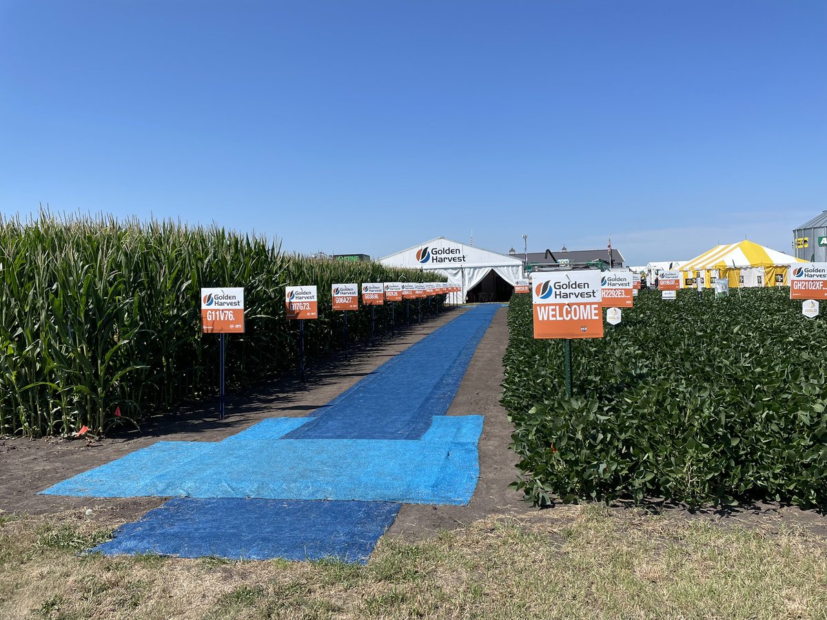 Game-changing hybrids, Golden Advantage 0% Terms and hands down the best soybeans in the industry. All inside the Golden Harvest booth tomorrow at #FarmFest. Stop by Seed Row &amp; check us out! <a href="/GldnHarvest/">Golden Harvest Seeds</a>