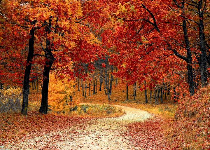 First Option Bank tweet media