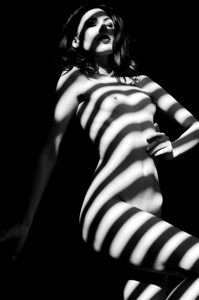 Monochrome #26

opensea.io/assets/ethereu…