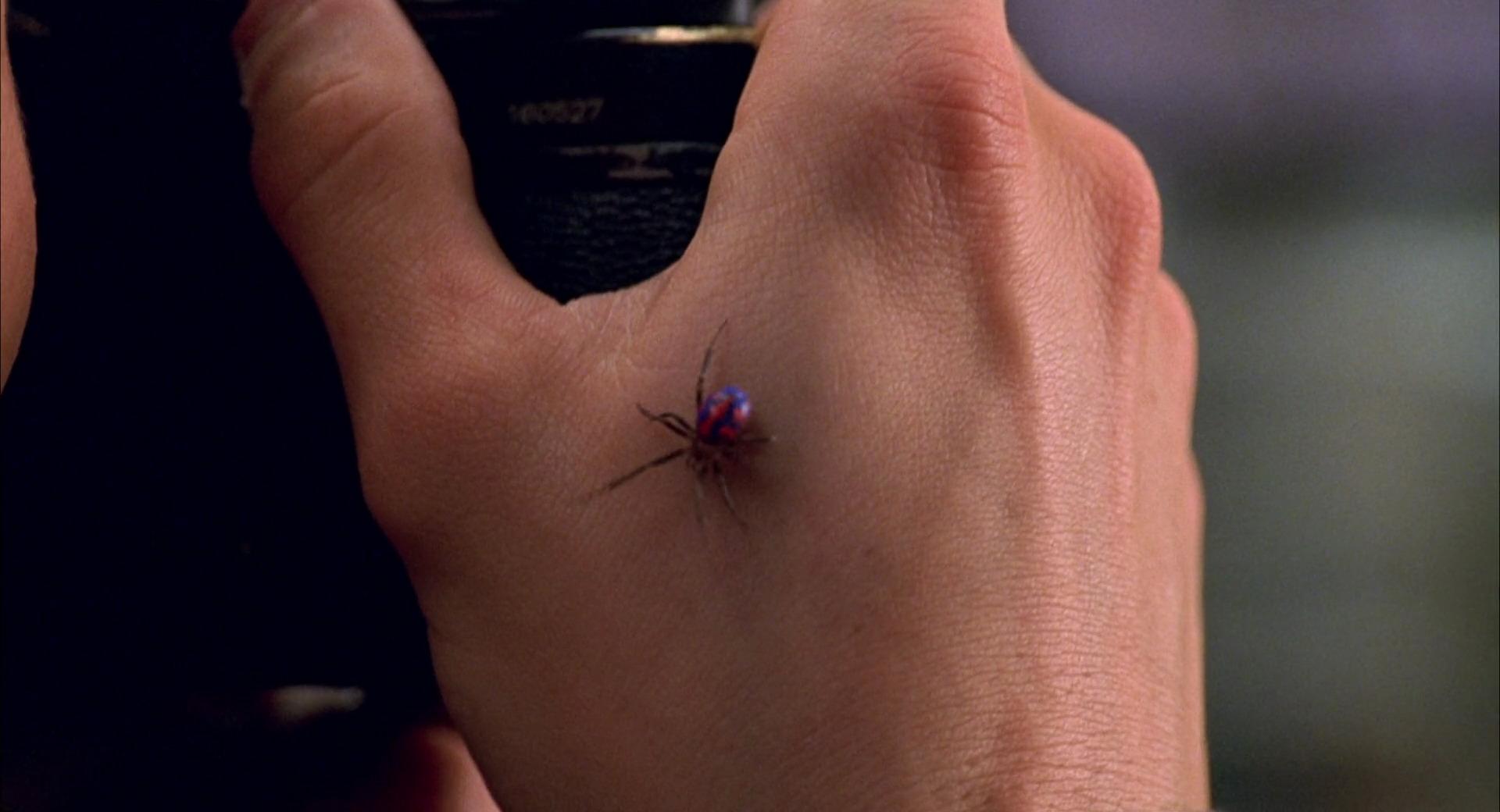 Короли укуса. Укус паука Тоби Магуайр. Человек паук 2002 укусил паук. Паук чёрная вдова укус человека паука. Укус коричневого паука отшельника.