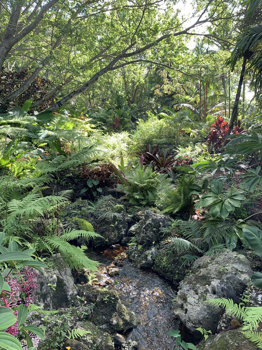 BrowNatOrchids's tweet image. Site visit at Deerfield Arboretum preparing for September installation. So pretty!