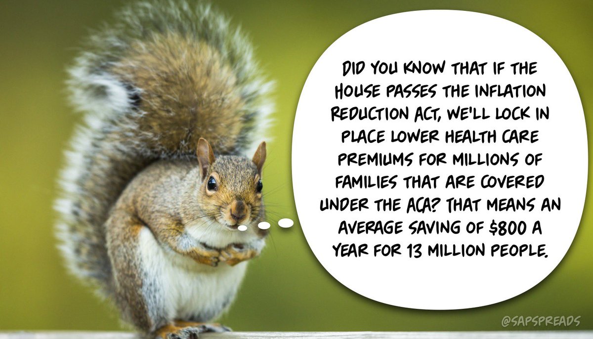 SapSpreads's tweet photo. The #InflationReductionAct of 2022 will tackle inflation, lower costs for American families, and reduce the deficit.

Let your MOCs know that you expect them to pass it! 202*224*3121

#SquirrelsForSanity
#DemsDeliver https://t.co/ktJtuHkqCr