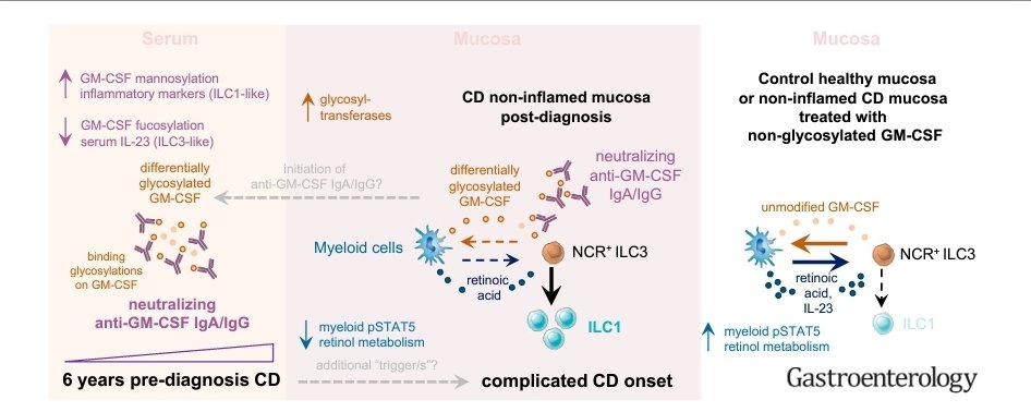 Ashraf Saad, bridging Glycobiology and Oncology! tweet media