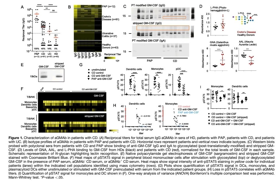Ashraf Saad, bridging Glycobiology and Oncology! tweet media