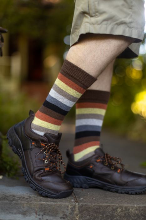 SockDreams's tweet photo. Brand new! Bear Pride Crews! 

Length: about 17", toes to tops
Stretch: 18" at cuff
Tube style, fits most shoe sizes

https://t.co/0Pi7AxXBUB

#bearprideflag #pridesocks #pride https://t.co/l3eyqsCM5K