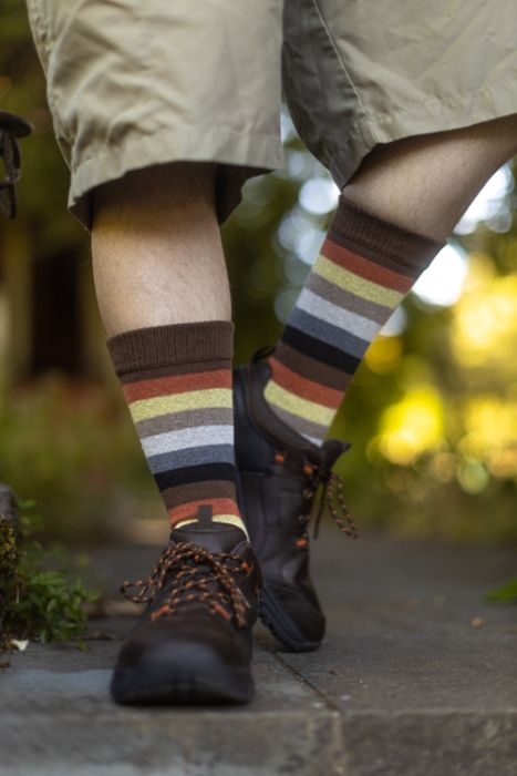 SockDreams's tweet photo. Brand new! Bear Pride Crews! 

Length: about 17", toes to tops
Stretch: 18" at cuff
Tube style, fits most shoe sizes

https://t.co/0Pi7AxXBUB

#bearprideflag #pridesocks #pride https://t.co/l3eyqsCM5K