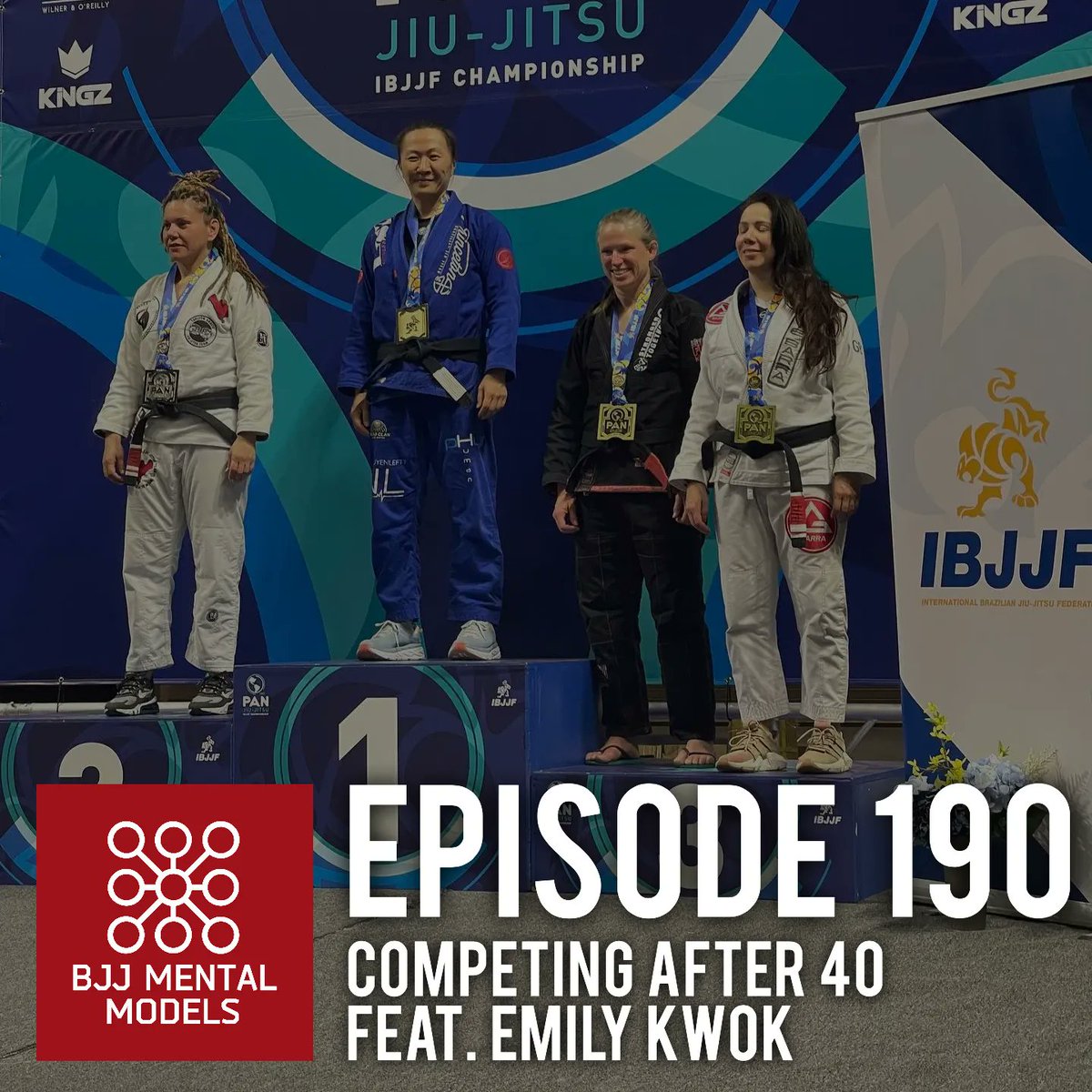 BJJ Mental Models tweet media