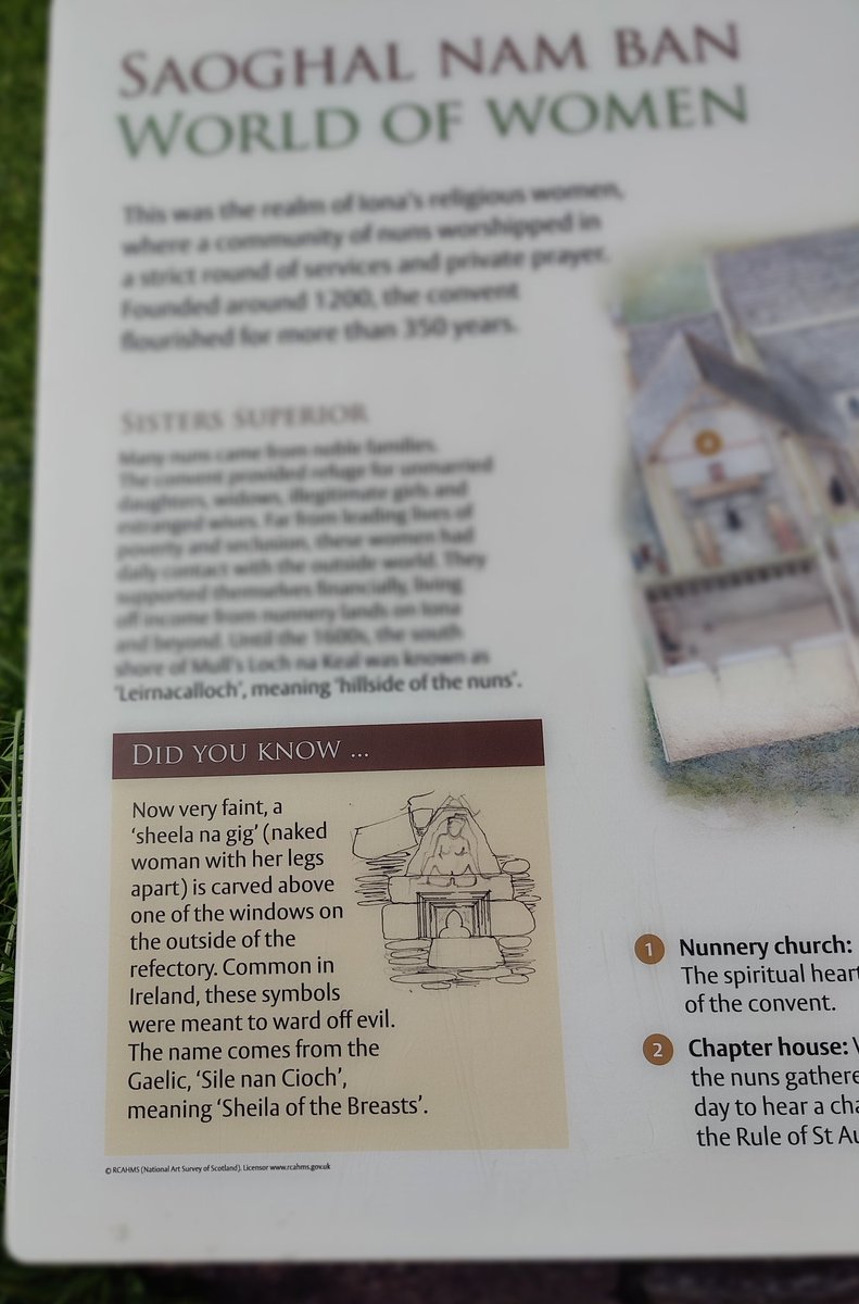 Phil Bell-Young tweet media