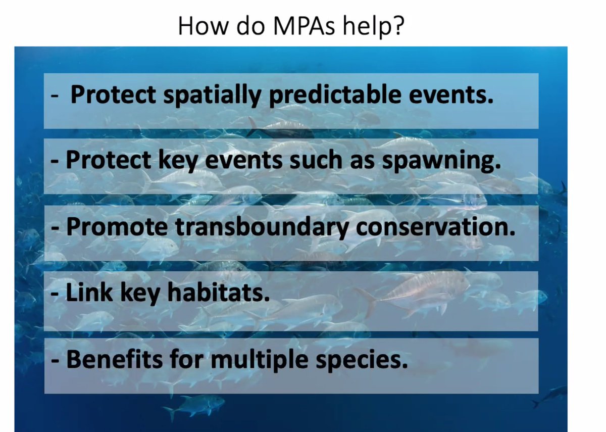 #MPADay tweet media