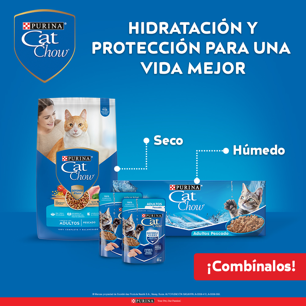 CityClubmx's tweet photo. Consiente a tu mascota 🥰 con alimento cat chow 🐱 de PURINA. Encuéntralos en City Club. #CityClub #CityLife #PURINA #CatChow https://t.co/A8plbFQczc