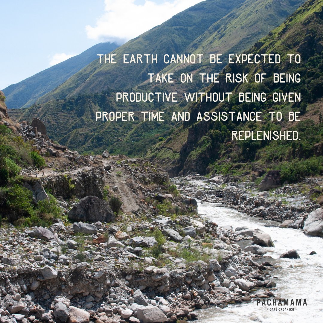 PachamamaCoffee's tweet image. Feliz Día De La Pachamama! 
This month join us as we celebrate Mother Earth and reflect on our the principles of reciprocity and care we were founded upon. 

pachamamacoffee.com/blogs/blog/dia…