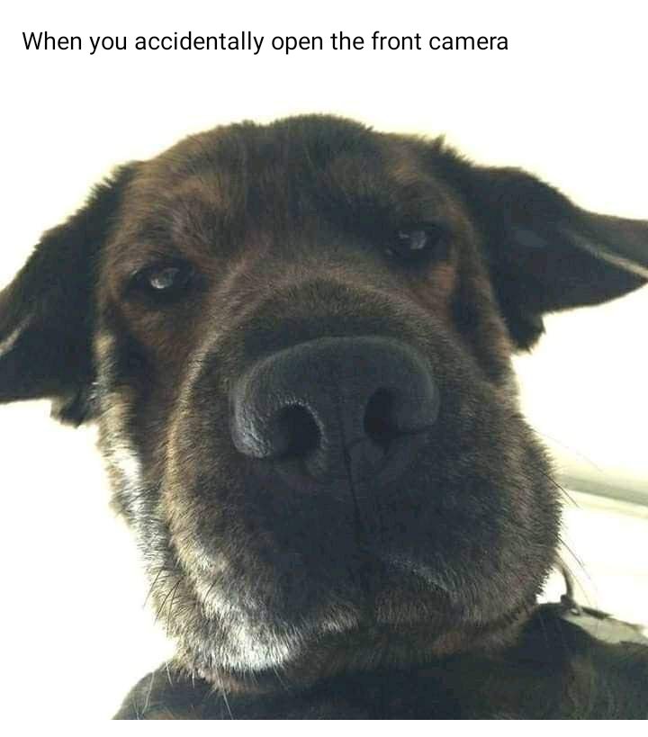 benjaminkingoff's tweet image. Leh me nuh mention names and just pass first 🚶 🚶 🚶