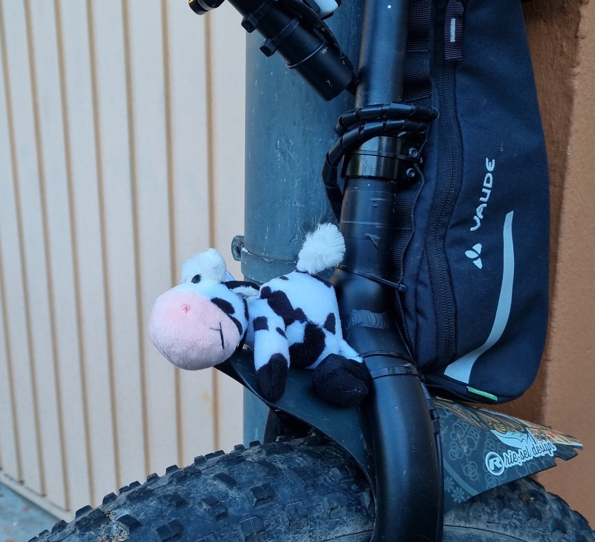 LeikKiel's tweet photo. "Hui, ich kann fliegen..." 😄
#einrad #unicyle #einradfahren #unicycling #muni #municyclelife #municycling #municyle #onewheelisenough #flyingCow https://t.co/EcjJcqdWMK