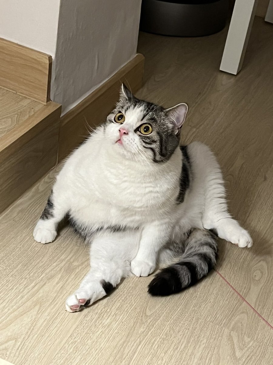 ฝนตกอึ่งอ่างเข้าบ้าน