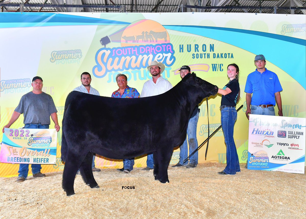 5th Overall Female 2022 Summer Spotlight (SD) exhibited by the Podzimek family!! Raised by Sleichter Show Cattle (KS) sold by CEG/Rosebud Cattle Company sired by WE NEED MORE!!