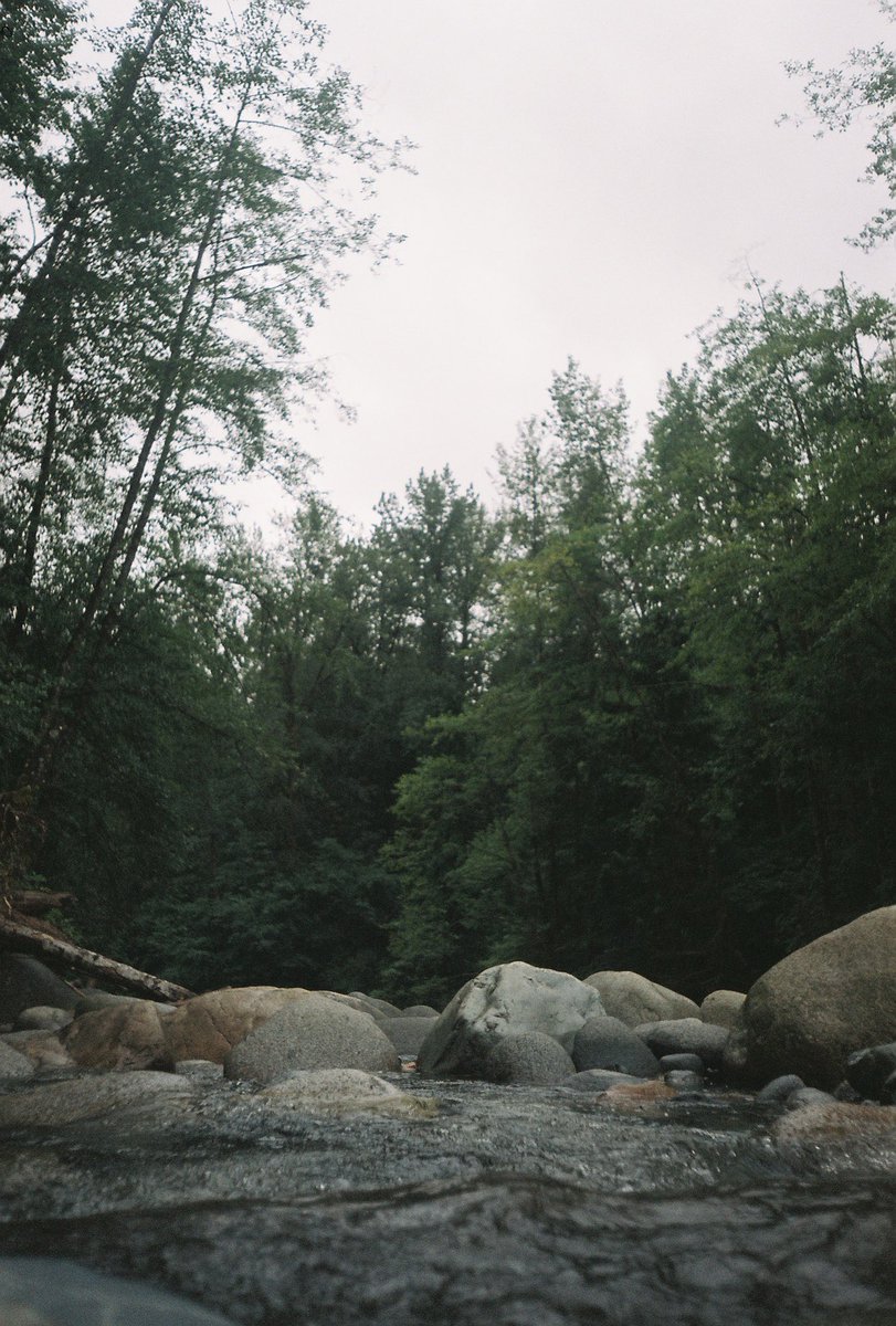 PhotographyPoff's tweet photo. Rainy Vancouver film #35mm #Vancouver https://t.co/Zpc2Xd6TaE