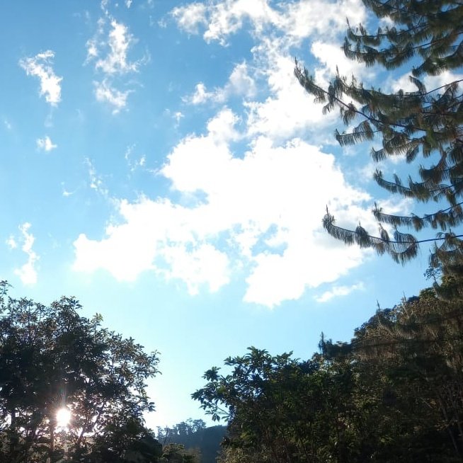 wakeynctzen's tweet photo. 💙💙💙💙Love you sm! happy birthday Mark! the best boy ever that even look better than the sky💙💙💙💙💙💙💙
#SkiesForMark 
#마크를위한하늘 https://t.co/Hy0Ii28ClP