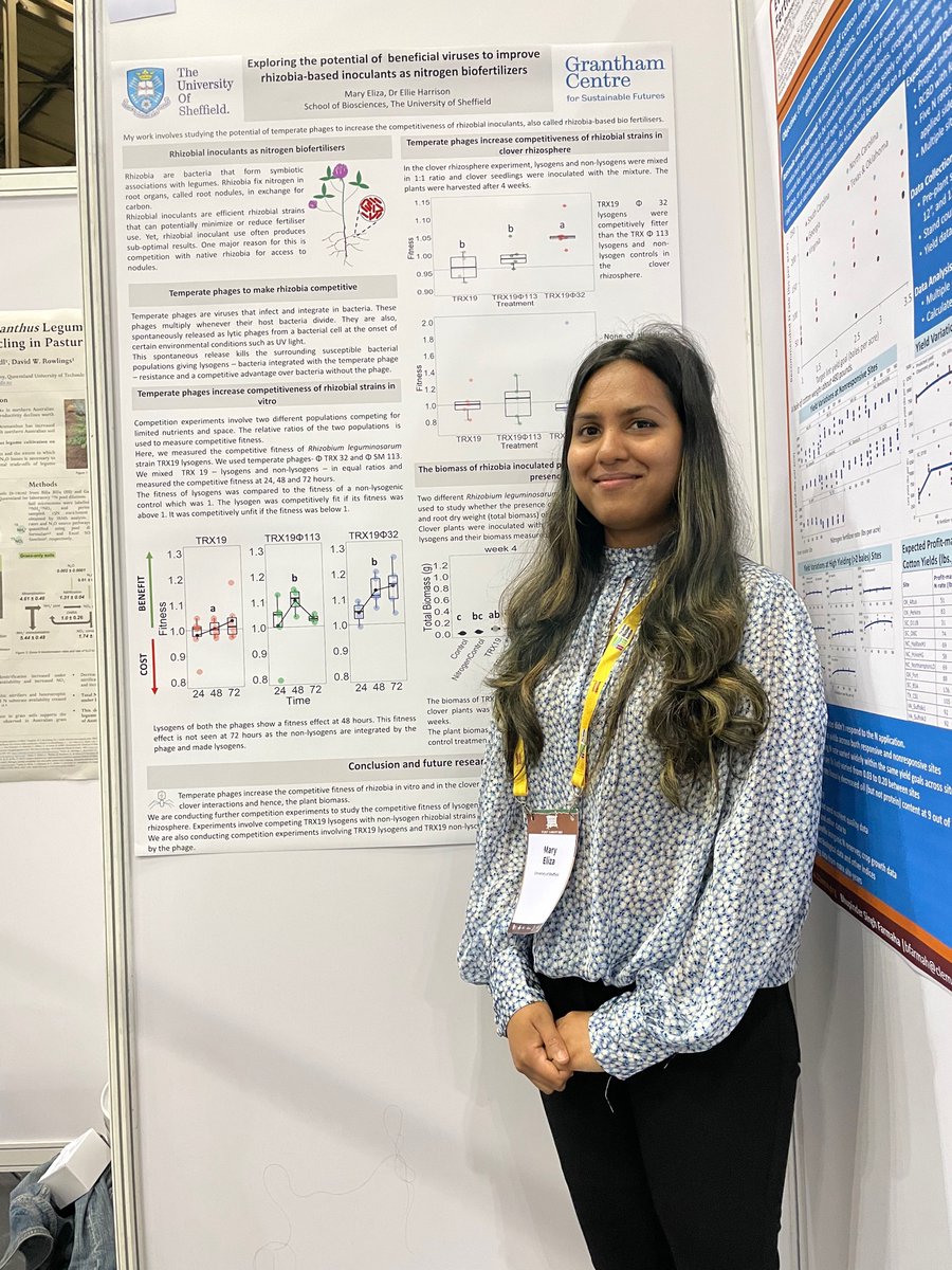 A year later, here again at SEC, Glasgow

Presenting my poster on Exploring the potential of beneficial viruses to improve rhizobia based inoculants at #WCSS22 

Thanks <a href="/nanciemurin/">Nancy</a> for the picture!

Loved seeing you in person after a long time <a href="/Anna_K_speaking/">Dr Anna Krzywoszynska</a>