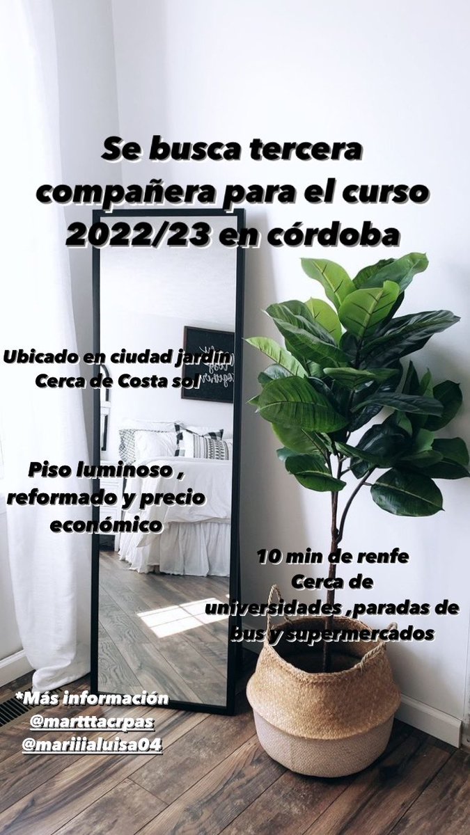 #queydondeestudiar22 #pisosuco #cotilleosuco #uco #pisoscordoba