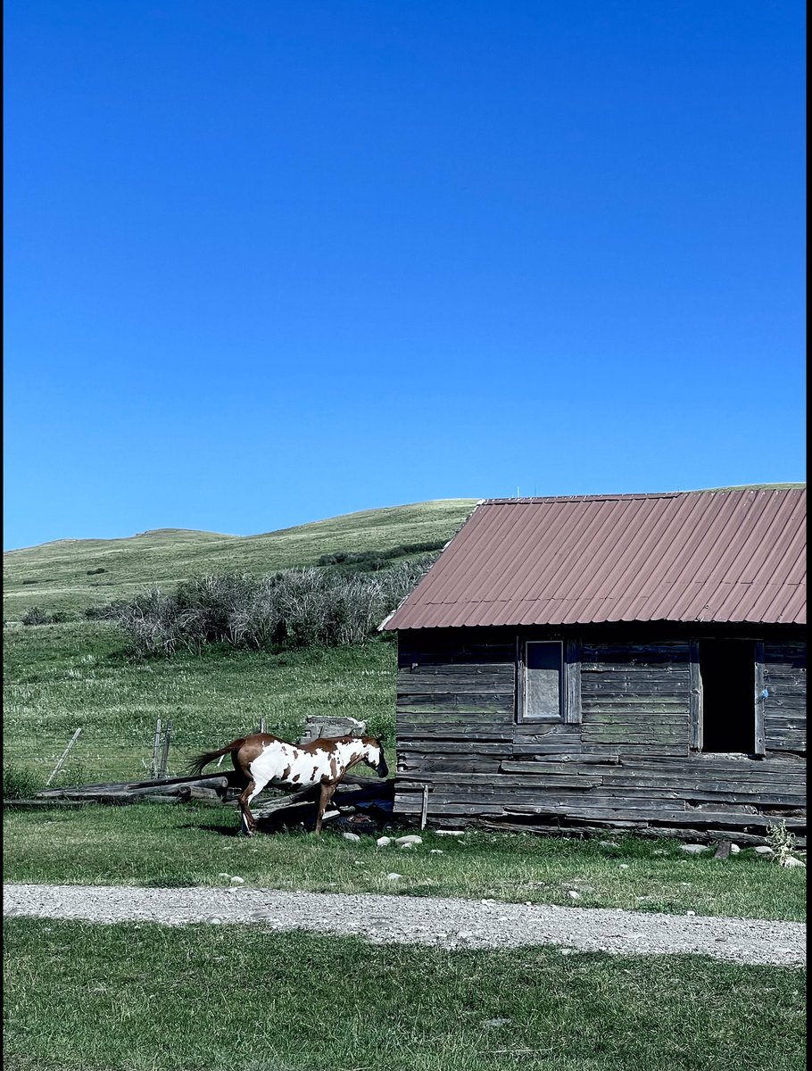 AnnHould's tweet photo. Blackfeet Nation Montana - https://t.co/6hRfKz8CUr