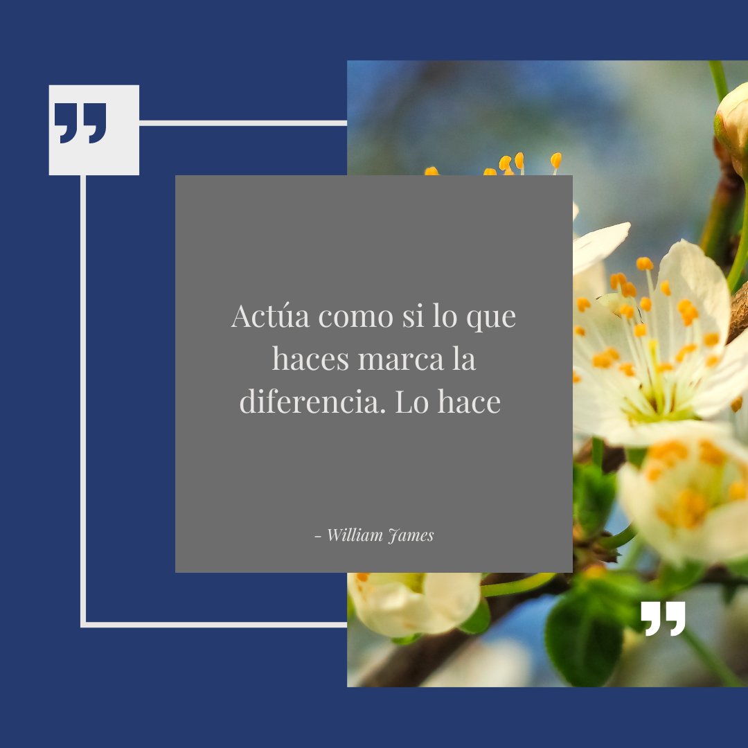 santoslawpa's tweet photo. #LunesDeMotivación
¡Aquí hay algo de motivación para comenzar la semana!☀☕
Llame📲 (305)417-4111
O visite 💻https://t.co/Wkj217xkmj
#attorney #law #lawfirm #legal #justice #attorneyatlaw #litigatio https://t.co/BveaMmKHha