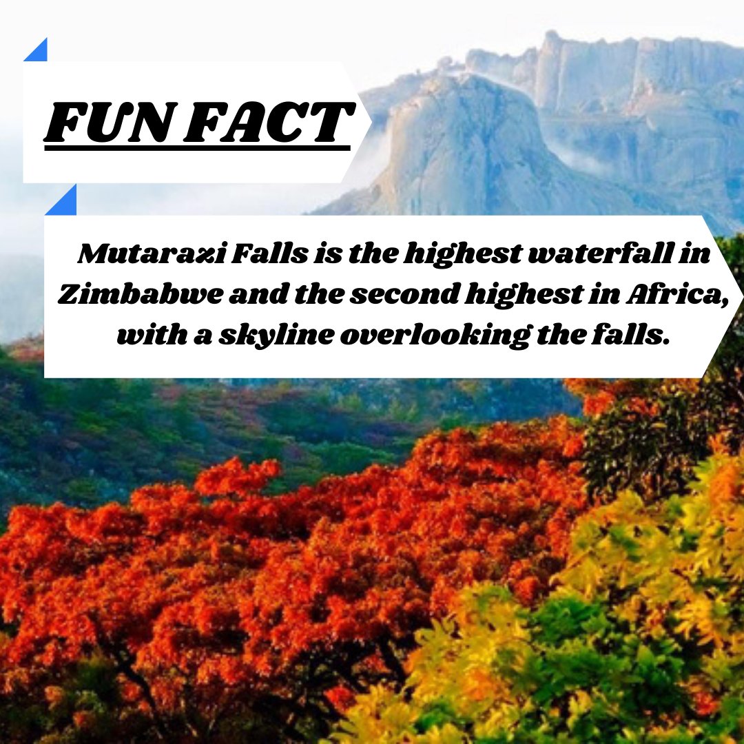 Kuva Local tweet media