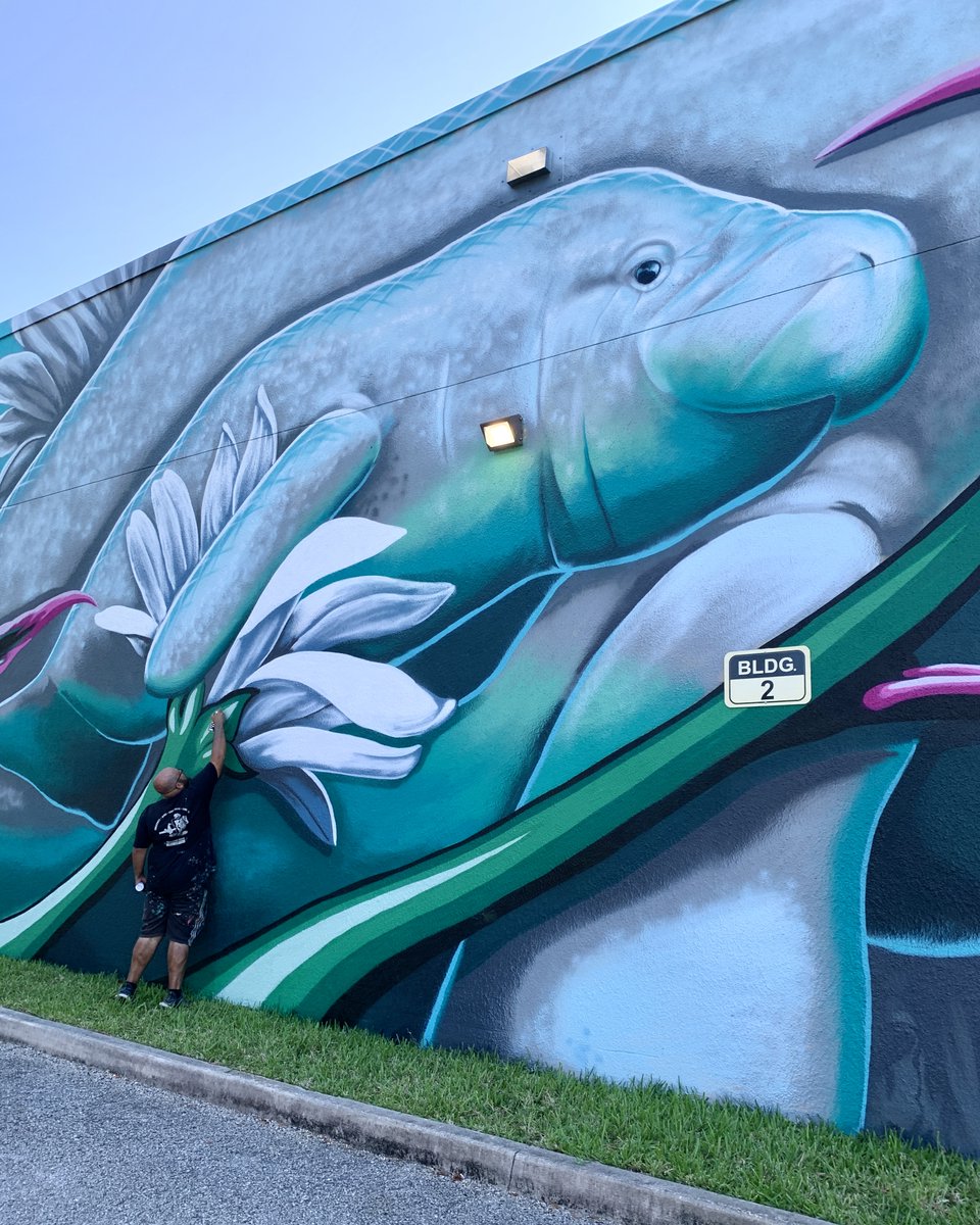 HollywoodFLCRA's tweet photo. #MuralMonday :: @ivanroque finishing his gigantic new mural at Hollywood Central Elementary on the east side. Take a look and don’t forget to tag us in your photos!!!
.
#floridashollywood #HollywoodFL #DHMPFL #publicart #manatees #manatee #ivanroque #browardmurals https://t.co/YgaeOn8v7U